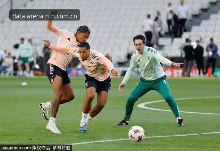 华体会沉浸式体验安装失败 揭秘欧联杯背后的“数据魔法”:埃梅里五冠传奇,华体会平台独家视角